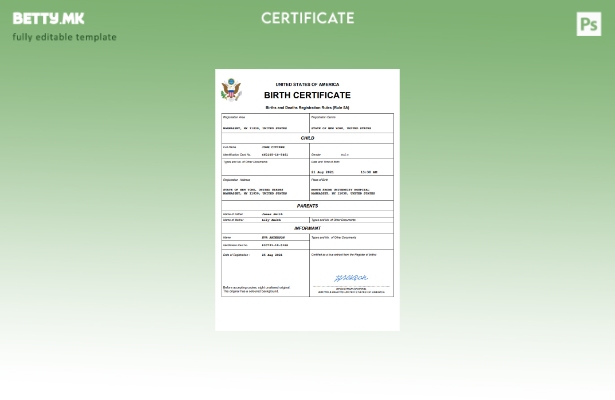 модерен стил на САД извод од матична книга на родени Шаблон за Word и PDF